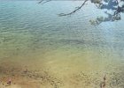2) Beach at Brownsea Island.jpg